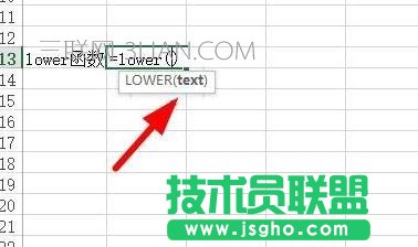 Excel中如何将文本转换为小写形式