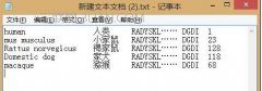 怎么让word文本对齐