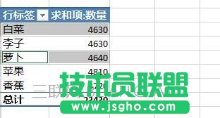 Excel数据透视表如何给字段分组