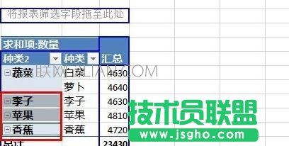 Excel数据透视表如何给字段分组