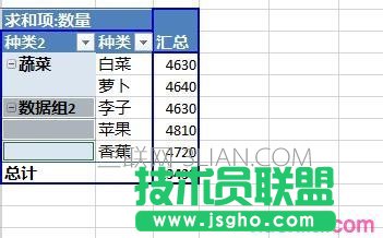 Excel数据透视表如何给字段分组