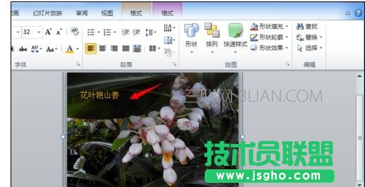 ppt2007怎么把图片组合在一起