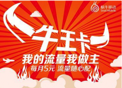 蜗牛王卡是什么