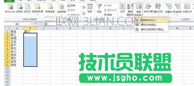 如何在EXcel2010中自定义下拉列表输入