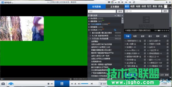 Win8升级Win8.1后播放视频绿屏怎么办？