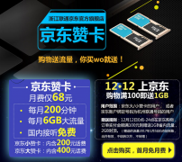 京东大小赞卡收费标准是什么