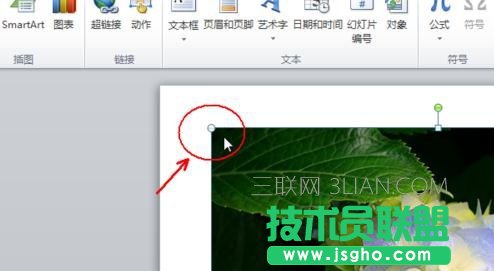 怎么使插入PPT的图片布满幻灯片