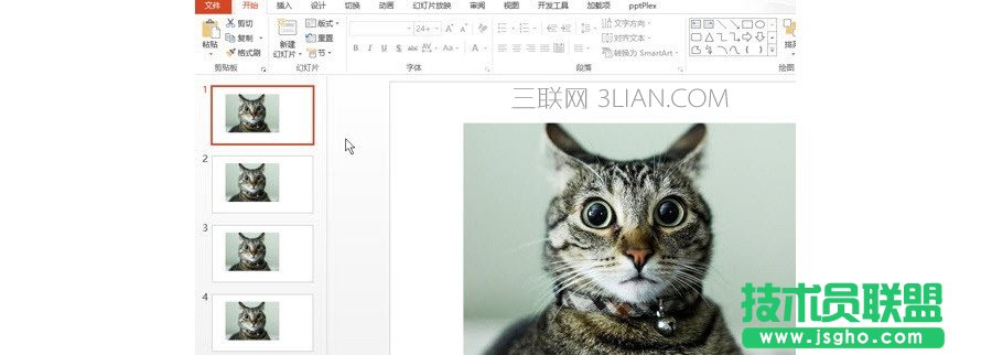 PPT制作技巧：如何将图片应用所有的PPT页面？