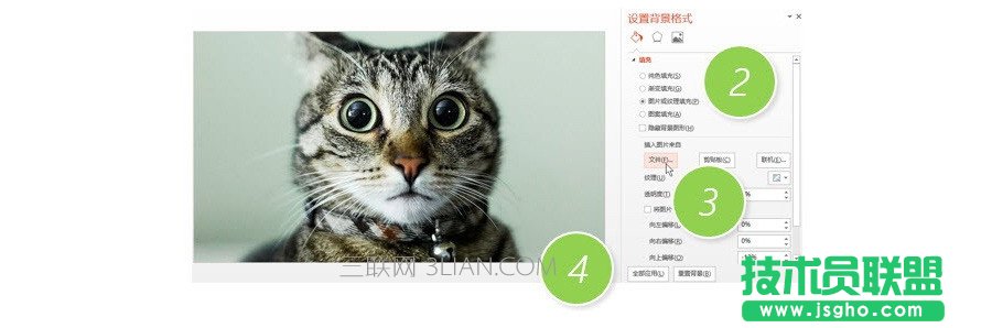 PPT制作技巧：如何将图片应用所有的PPT页面？