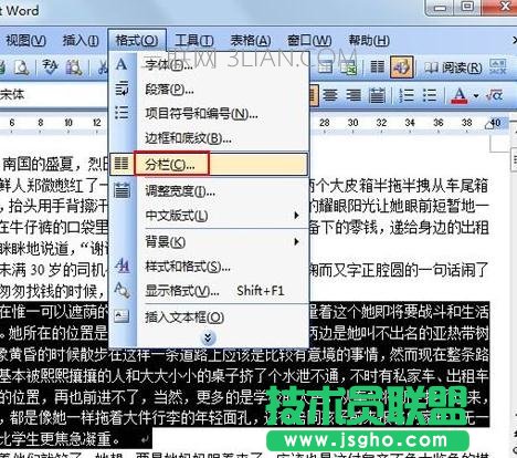 Word如何将文档进行分栏查看 三联