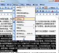 Word如何将文档进行分栏查看