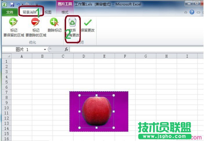 Excel2010技巧:轻松去除图片的背景