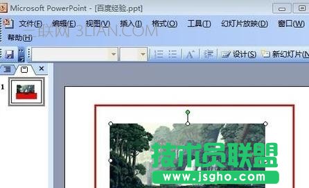 在ppt2007中怎样插入动态图