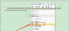 word怎么解决复制网址时断行
