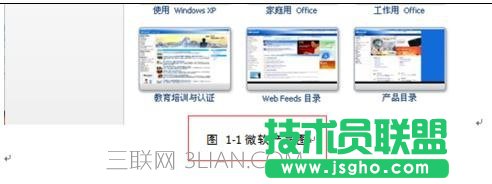 word如何使用交叉引用 三联