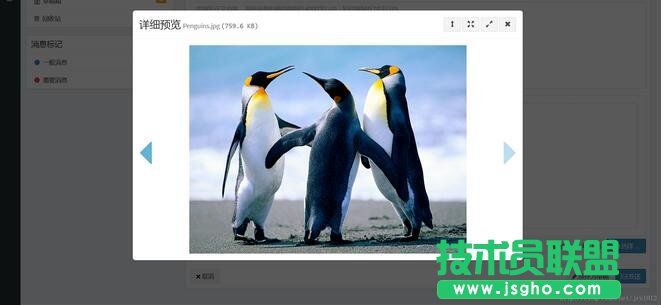 Bootstrap fileinput文件上传预览插件如何使用