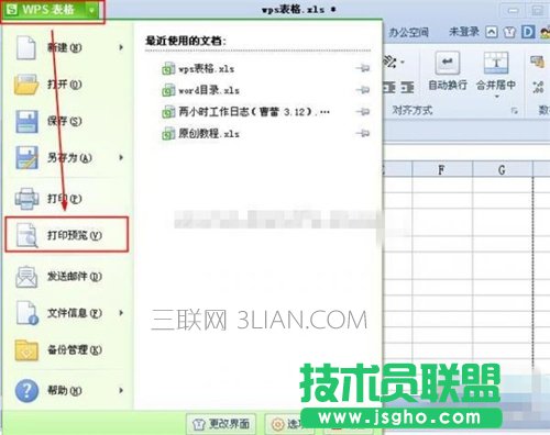 wps打印预览怎么设置 三联