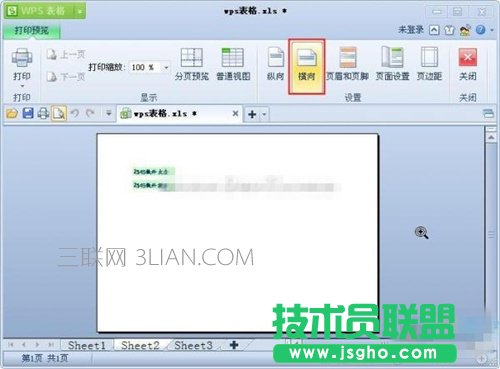 wps打印预览怎么设置
