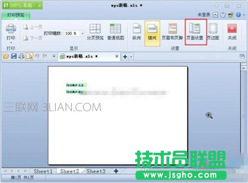 wps打印预览怎么设置