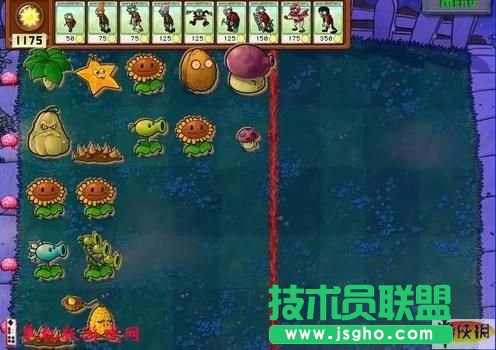 《植物大战僵尸》新手教程及刷钱战术
