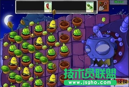 《植物大战僵尸》新手教程及刷钱战术