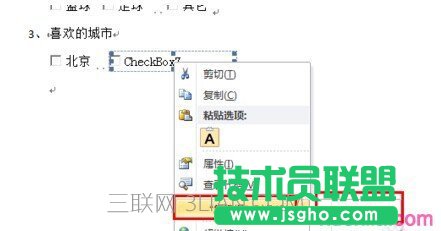 Word2010如何插入复选框7