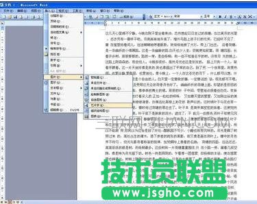 word在文章中插入艺术字方法