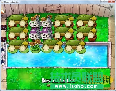 《植物大战僵尸》单边植物9炮阵图文视频演示