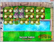 《植物大战僵尸》单边植物9炮阵图文视频演示