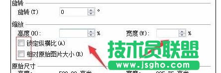 wps文字如何批量设置图片尺寸