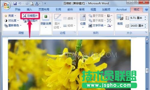 word怎么压缩图片