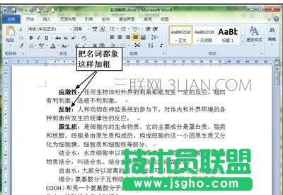 word中如何批量加粗每段首词 三联
