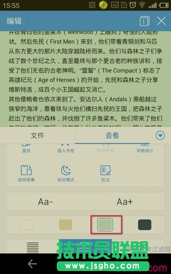手机wps如何设置字体样式