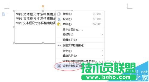 wps文本框大小调整 三联
