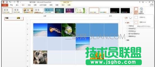 ppt版式设置教程