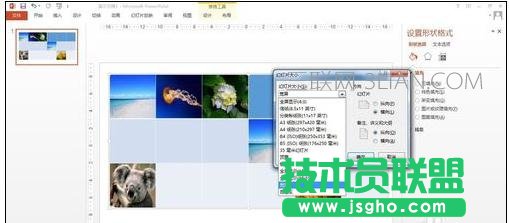 ppt版式设置教程