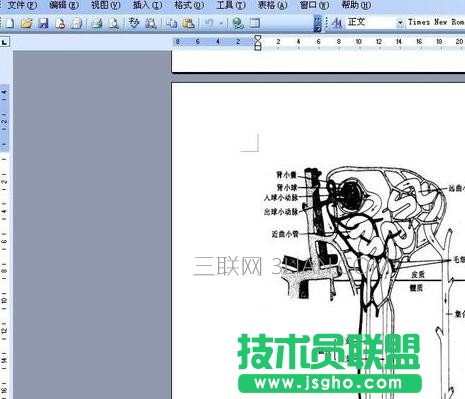 ppt无法显示图像解决方案