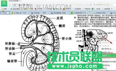 ppt无法显示图像解决方案