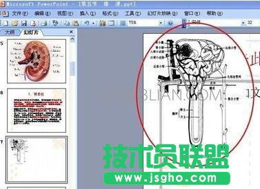 ppt无法显示图像解决方案