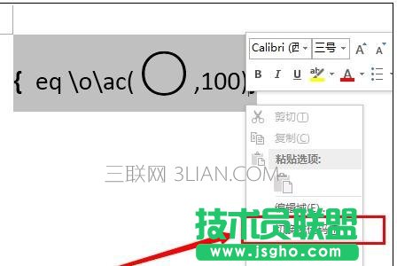 word中输入带圈100方法