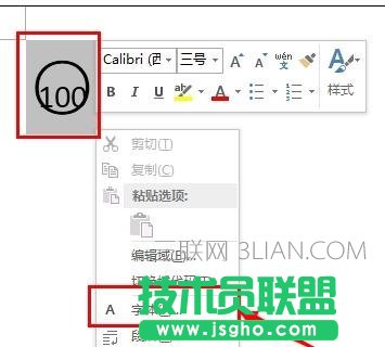 word中输入带圈100方法