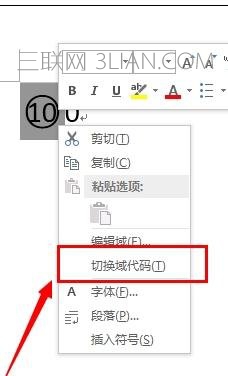 word中输入带圈100方法
