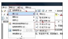 Word中如何一分为二