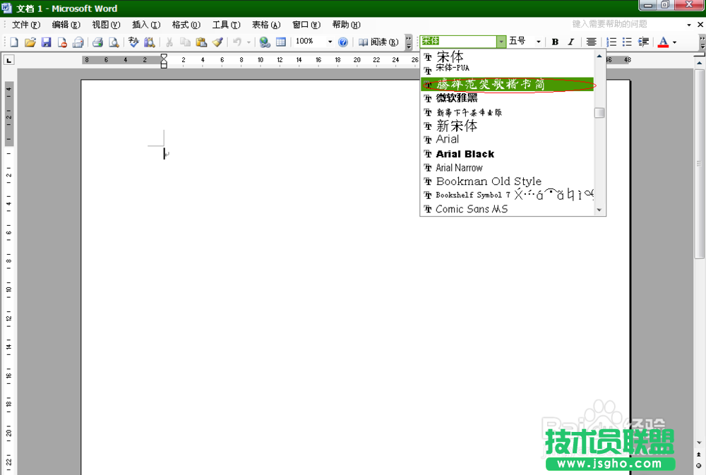 新萝卜家园windows xp系统字体更改方法(6)