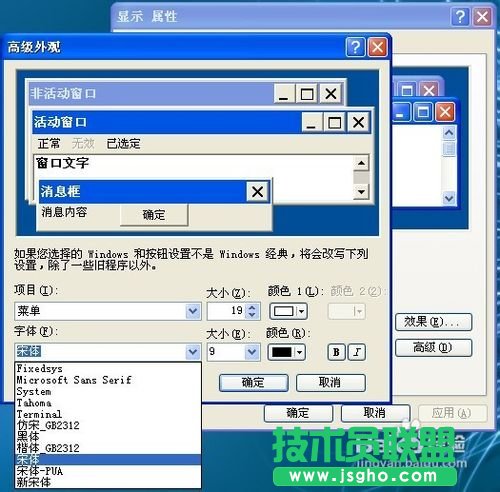 新萝卜家园windows xp系统字体更改方法(11)
