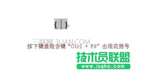 word中如何设置域 三联