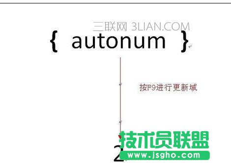 word中如何设置域