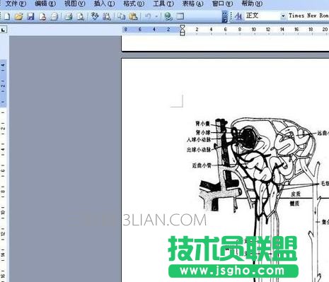 ppt无法显示图像如何处理 三联