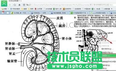 ppt无法显示图像如何处理