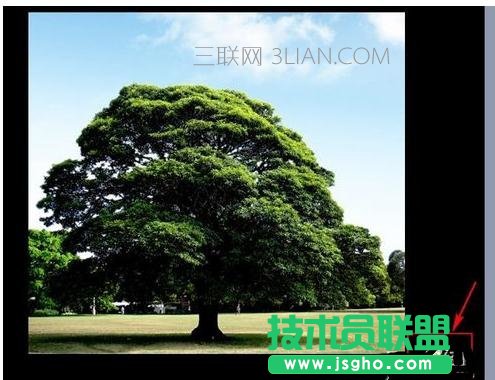 ppt2007怎么设置音乐一直播放